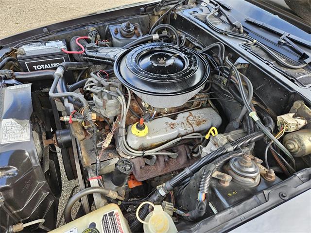 1985 Ford Thunderbird (CC-2083929) for sale in Salem, Ohio