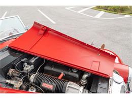 1954 MG TF (CC-2083932) for sale in Fort Lauderdale, Florida