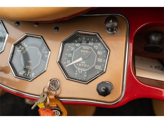 1954 MG TF (CC-2083932) for sale in Fort Lauderdale, Florida
