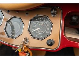 1954 MG TF (CC-2083932) for sale in Fort Lauderdale, Florida