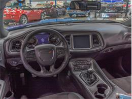 2023 Dodge Challenger (CC-2083939) for sale in Salem, Ohio