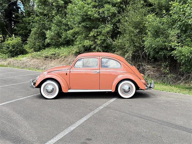 1958 Volkswagen Beetle (CC-2083951) for sale in Gladstone, Oregon
