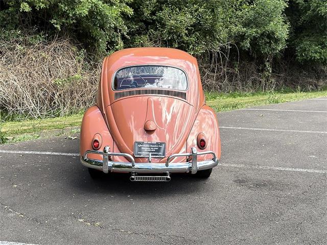 1958 Volkswagen Beetle (CC-2083951) for sale in Gladstone, Oregon