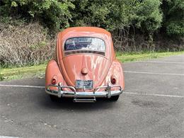 1958 Volkswagen Beetle (CC-2083951) for sale in Gladstone, Oregon