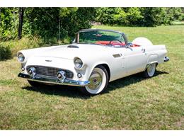 1965 Ford Thunderbird (CC-2083957) for sale in Shamong, New Jersey