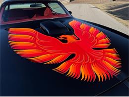 1979 Pontiac Firebird Trans Am (CC-2083962) for sale in Lincoln, Nebraska