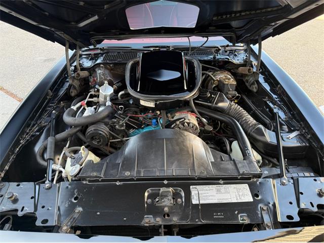 1979 Pontiac Firebird Trans Am (CC-2083962) for sale in Lincoln, Nebraska