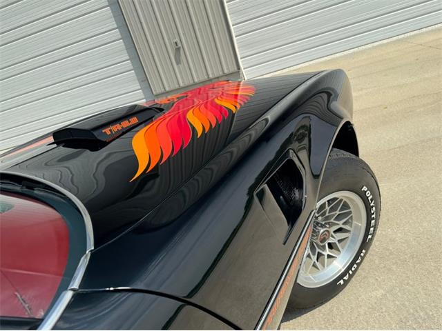 1979 Pontiac Firebird Trans Am (CC-2083962) for sale in Lincoln, Nebraska