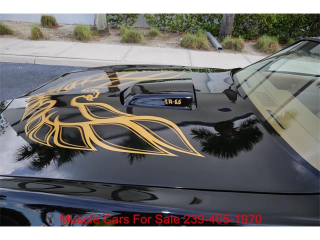 1978 Pontiac Firebird Trans Am (CC-2084014) for sale in Fort Myers, Florida
