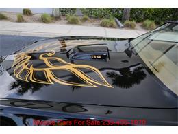 1978 Pontiac Firebird Trans Am (CC-2084014) for sale in Fort Myers, Florida