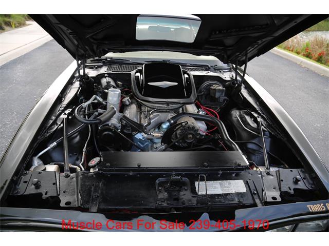 1978 Pontiac Firebird Trans Am (CC-2084014) for sale in Fort Myers, Florida