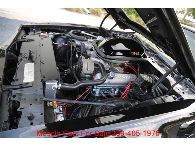 1978 Pontiac Firebird Trans Am (CC-2084014) for sale in Fort Myers, Florida