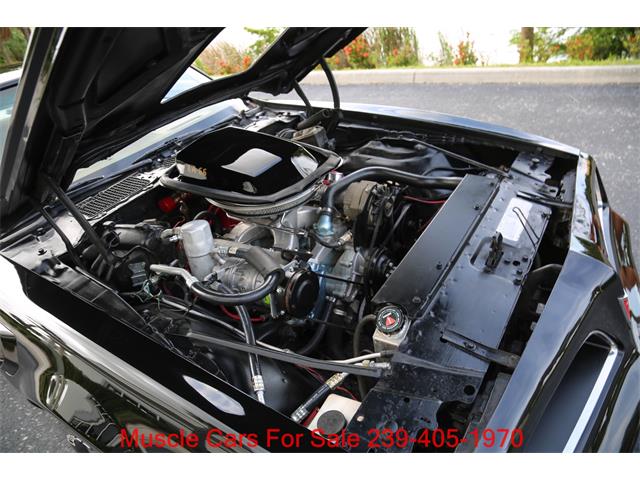1978 Pontiac Firebird Trans Am (CC-2084014) for sale in Fort Myers, Florida