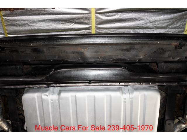 1978 Pontiac Firebird Trans Am (CC-2084014) for sale in Fort Myers, Florida