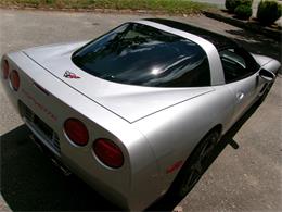 1997 Chevrolet Corvette (CC-2084041) for sale in Palmer, Massachusetts