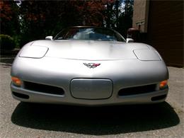 1997 Chevrolet Corvette (CC-2084041) for sale in Palmer, Massachusetts