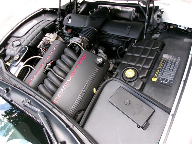 1997 Chevrolet Corvette (CC-2084041) for sale in Palmer, Massachusetts