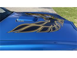 1978 Pontiac Firebird Trans Am (CC-2084047) for sale in Milford, Ohio