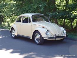1969 Volkswagen Beetle (CC-2084051) for sale in CosCob, Connecticut