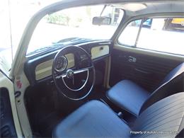 1969 Volkswagen Beetle (CC-2084051) for sale in CosCob, Connecticut