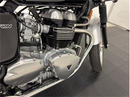 2007 Triumph Thruxton (CC-2084083) for sale in Morgantown, Pennsylvania
