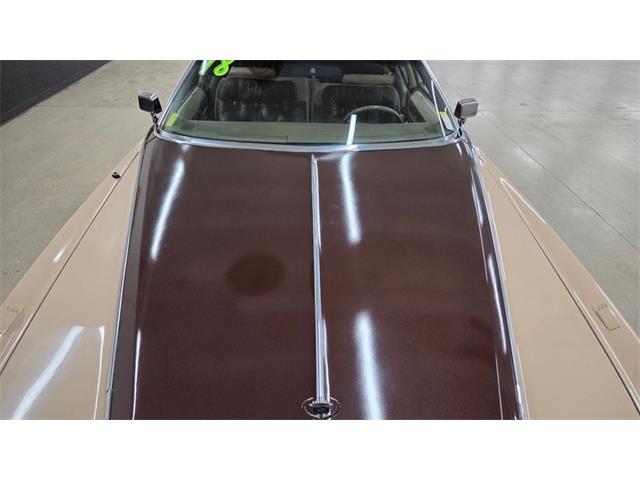 1978 Cadillac Eldorado (CC-2084103) for sale in Mankato, Minnesota