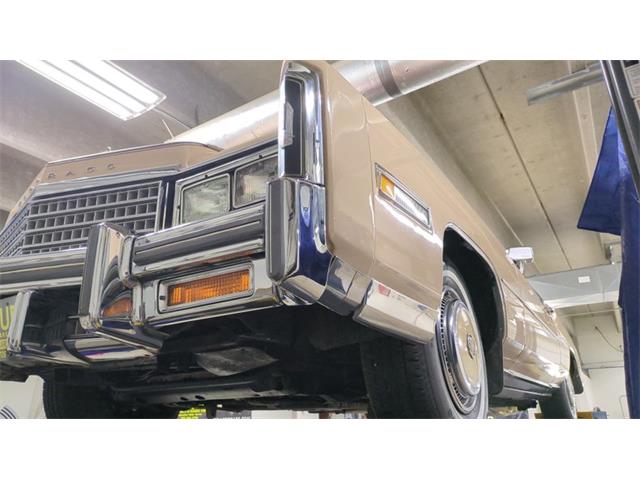 1978 Cadillac Eldorado (CC-2084103) for sale in Mankato, Minnesota