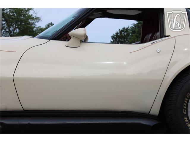 1981 Chevrolet Corvette (CC-2084105) for sale in Crete, Illinois