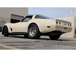 1981 Chevrolet Corvette (CC-2084105) for sale in Crete, Illinois