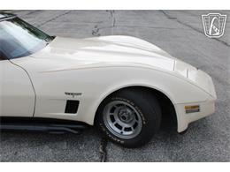 1981 Chevrolet Corvette (CC-2084105) for sale in Crete, Illinois
