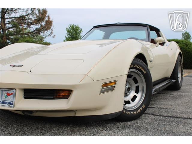 1981 Chevrolet Corvette (CC-2084105) for sale in Crete, Illinois