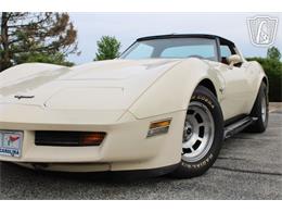 1981 Chevrolet Corvette (CC-2084105) for sale in Crete, Illinois