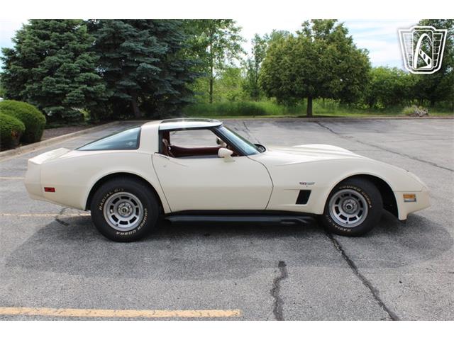 1981 Chevrolet Corvette (CC-2084105) for sale in Crete, Illinois