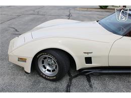 1981 Chevrolet Corvette (CC-2084105) for sale in Crete, Illinois