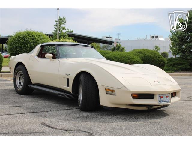 1981 Chevrolet Corvette (CC-2084105) for sale in Crete, Illinois