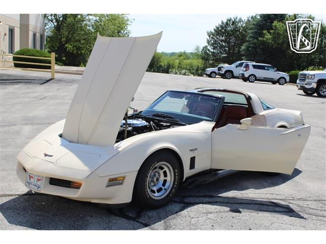1981 Chevrolet Corvette (CC-2084105) for sale in Crete, Illinois