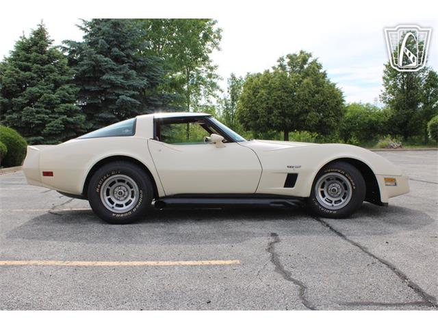 1981 Chevrolet Corvette (CC-2084105) for sale in Crete, Illinois