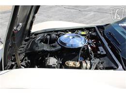 1981 Chevrolet Corvette (CC-2084105) for sale in Crete, Illinois