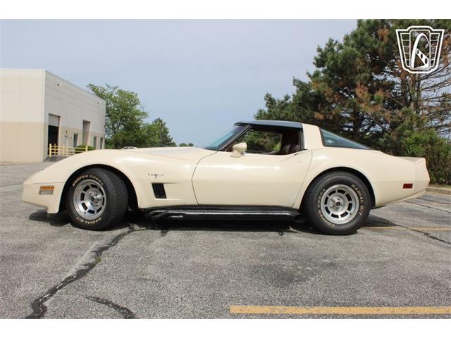 1981 Chevrolet Corvette (CC-2084105) for sale in Crete, Illinois