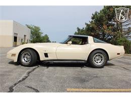 1981 Chevrolet Corvette (CC-2084105) for sale in Crete, Illinois
