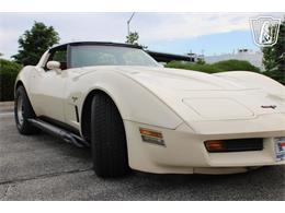 1981 Chevrolet Corvette (CC-2084105) for sale in Crete, Illinois