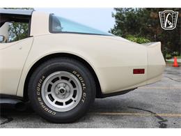 1981 Chevrolet Corvette (CC-2084105) for sale in Crete, Illinois