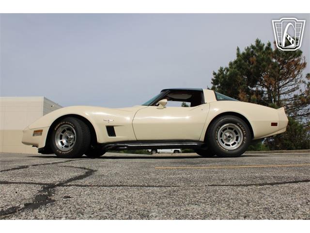 1981 Chevrolet Corvette (CC-2084105) for sale in Crete, Illinois