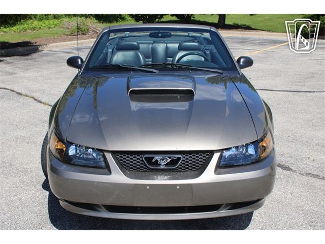 2002 Ford Mustang GT (CC-2084107) for sale in Crete, Illinois