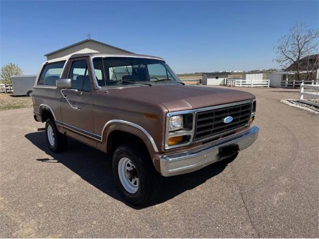 1982 Ford Bronco (CC-2084117) for sale in Cadillac, Michigan