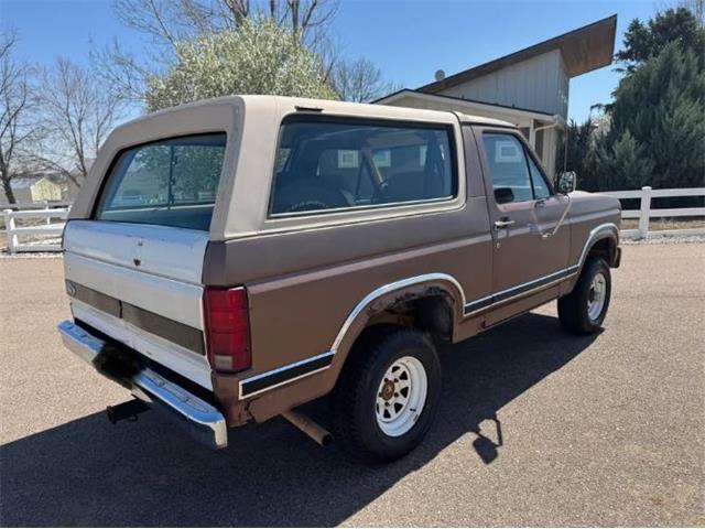 1982 Ford Bronco (CC-2084117) for sale in Cadillac, Michigan