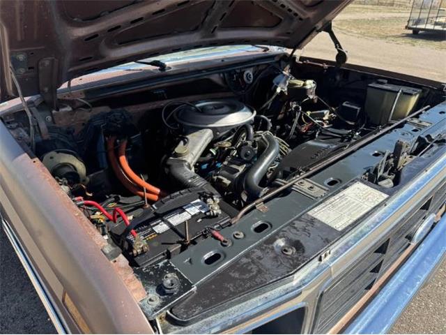 1982 Ford Bronco (CC-2084117) for sale in Cadillac, Michigan