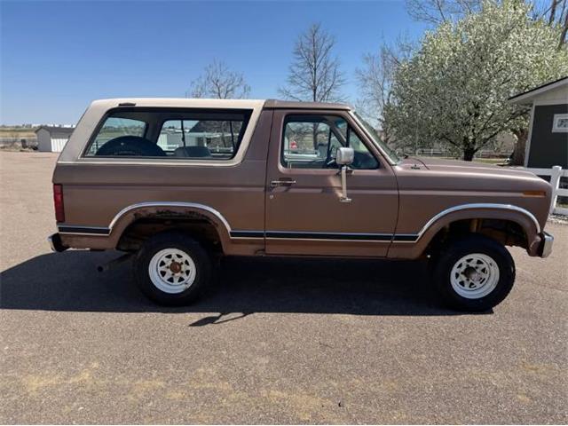 1982 Ford Bronco (CC-2084117) for sale in Cadillac, Michigan