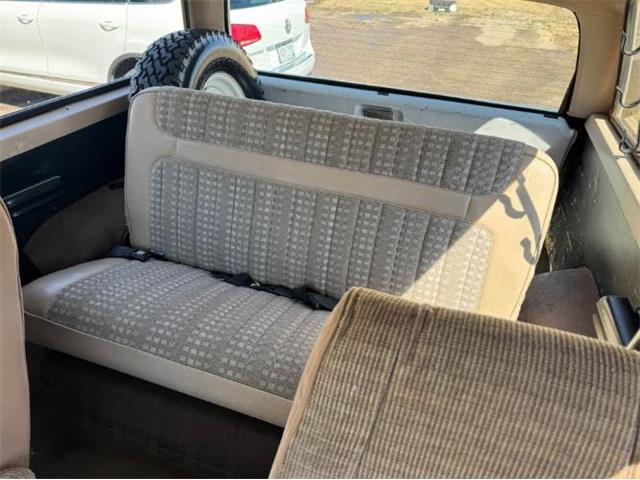 1982 Ford Bronco (CC-2084117) for sale in Cadillac, Michigan