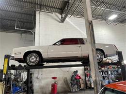 1985 Cadillac Eldorado (CC-2084121) for sale in Addison, Illinois